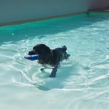 Tiliguerta Glamping&camping Village Prázdninový areál