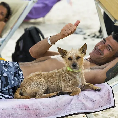 Prázdninový areál Tiliguerta Glamping&camping Village Costa Rei