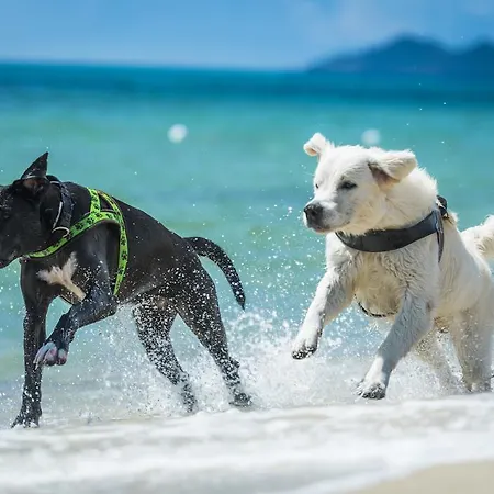 منتزه العطل Tiliguerta Glamping&camping Village