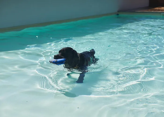 Tiliguerta Glamping&camping Village Feriepark