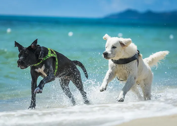 Feriepark Tiliguerta Glamping&camping Village